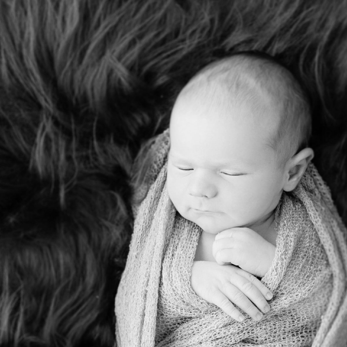 UND HIER IST DER KLEINE OSKAR – GERADE MAL 2 WOCHEN ALT…